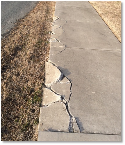 cracks in the sidewalk