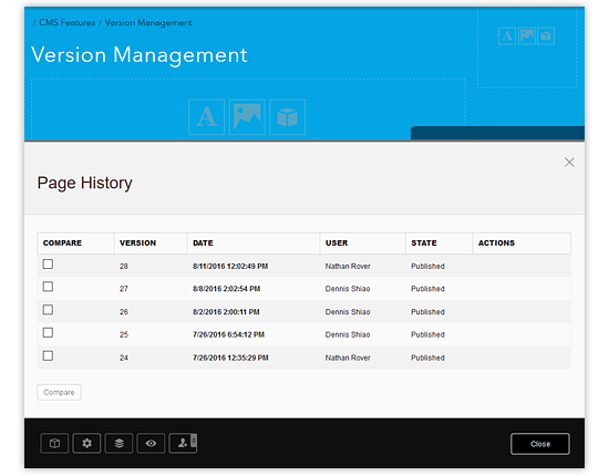 version management - detailed page history