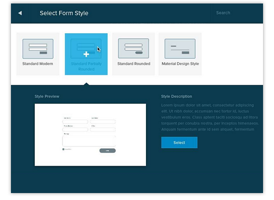 select form style